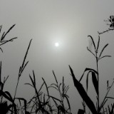 0909F 117 Kulmbach-Koblenz